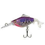 Erma Sahte Balık(Sert)