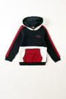 Tommy Erkek Çocuk Kapüşonlu Sweatshirt