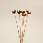 Jayla Demet Kuru Çiçek Natural