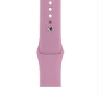 Lexroo Apple Watch 42mm Klasik Kordon