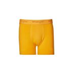 Regular Fit Normal Kesim Turuncu Tekli Boxer