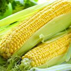 Doğal Geleneksel Haşlamalık Mısır Fidesi (5 adet)