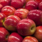 Tüplü Aşılı Aromatik Geçci Pink Lady Elma Fidanı