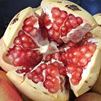 Tüplü Çok İri Meyveli Keben Narı Fidanı