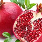 Tüplü Özel Nar Fidanı Paketi