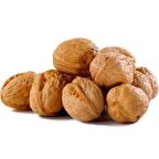 Tüplü Yüksek Verimlli Fernor Salkım Ceviz Fidanı