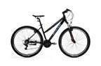 BİSAN ATHENA DAĞ BİSİKLETİ 48 CM V 29 JANT 21 VİTES PARLAK SİYAH MAVİ - MOR