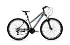 BİSAN ATHENA DAĞ BİSİKLETİ 43 CM HD 26 JANT 21 VİTES METALİK GRİ MAVİ - MOR 