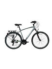 BİSAN TRX 8100 CİTY ŞEHİR BİSİKLETİ 50 CM V 700C 21 VİTES AÇIK METALİK GRİ YEŞİL BEYAZ
