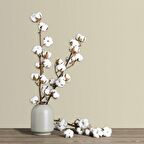 Adawall Alfa Koleksiyonu 3701-1 Duvar Kâğıdı