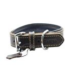 Yumuşak Dokulu Gerçek Deri Tribeca Köpek Boyun Tasması 3x63cm