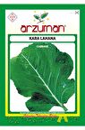 Kara (Yaprak) Lahana Tohumu 10 Gram