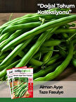 50 Adet Alman Ayşe Tipi Sırık Fasulye Tohumu 