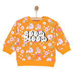 HelloBaby Basic Az Şardonlu Aslan Desenli Sweatshirt Kız Bebek