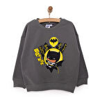 DC COMICS Batman Erkek Sweatshirt Erkek Bebek