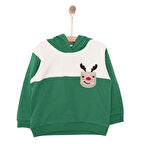 HelloBaby Snow Party Erkek Kapüşonlu Sweatshirt Erkek Bebek