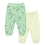 HelloBaby Basic Erkek Dinozor Desenli 2li Patiksiz Alt Erkek Bebek