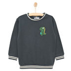 HelloBaby City Boy Erkek Sweatshirt Erkek Bebek