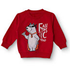 HelloBaby Erkek Bebek Sweatshirt Şardonlu İki İplik Bisiklet Yaka Uzun Kol