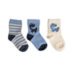 HelloBaby 3lü Soket Çorap