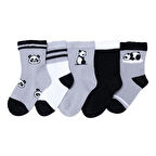 HelloBaby Erkek Bebek 5'li Soket Çorap