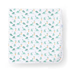 Little Dreams Battaniye