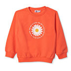 HelloBaby Kız Bebek Sweatshirt İki İplik Bisiklet Yaka Uzun Kol