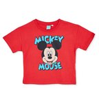 Disney Erkek Bebek Lisans Tişört Lisans Baskılı Bisiklet Yaka Short Sleeve