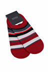 Bordo İkili Çizgili Pamuklu Babet Çorap | STD