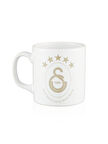 Galatasaray 5 Yıldız Detaylı Mug U251473