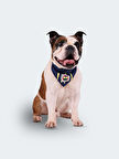 FB  LOGO PET BANDANA  LACİ