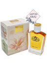 Japon Kiraz Çiçeği Edp 50 Ml Parfüm