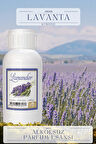 Lavanta Kokusu Toptan  Parfüm Esansı 1 Kilogram