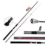 Ecoport Evo Stick 240 cm Spin Kamış 15 - 45 gr AKSİYONLU