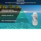 Rulopak Kolezyum Koku Kartuşu 100 ml (M7)