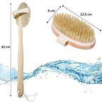 Doğal At Kılı Selülit Karşıtı Sapı Çıkabilen Ahşap Banyo Fırçası