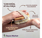 Doğal At Kılı Fırçası (Yetişkin)