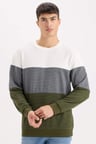 DeFacto Regular Fit Bisiklet Yaka Renk Bloklu Jakarlı Sweatshirt D5393AX24AUGN351