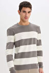 DeFacto Standart Fit Bisiklet Yaka Çizgili Triko Kazak D1968AX24AUGR308