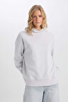 DeFacto Relax Fit Kapüşonlu Kalın Basic Düz Sweatshirt D9935AX24WNGR431