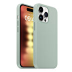 Buff iPhone 15 Pro Rubber Fit Kılıf Succulent