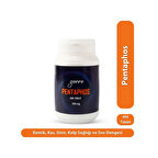 Zerre Doku Tuzu Schüssler Mineral Pentaphos 400 Tablet