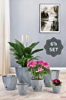 Lillium Saksı 6lı Set Gri
