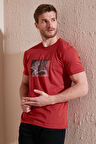 Buratti Erkek T Shirt 646R8120