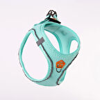 Pawstar Air-Mesh Mint Köpek Göğüs Tasması