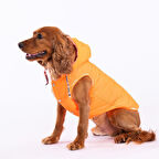 Pawstar Neon Orange Railway Vest Köpek Montu 2XLarge 38x43x58 cm