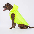 Pawstar Railway Neon Sarı Su İtici Orta-Büyük Irk Köpek Yelek Yağmurluk