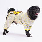 Pawstar Teddy Bear Küçük Irk Köpek Penye Tulum (2,5 kg-11 kg arasına uygun)