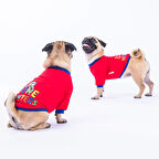 Pawstar Kırmızı Bone Hunter Küçük Irk Köpek Sweatshirtü