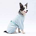 Pawstar Mint Bonjour Kadife Orta-Büyük Irk Köpek Tulumu